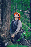 Luis Gamez, Oregon tree faller