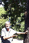 Doug Card