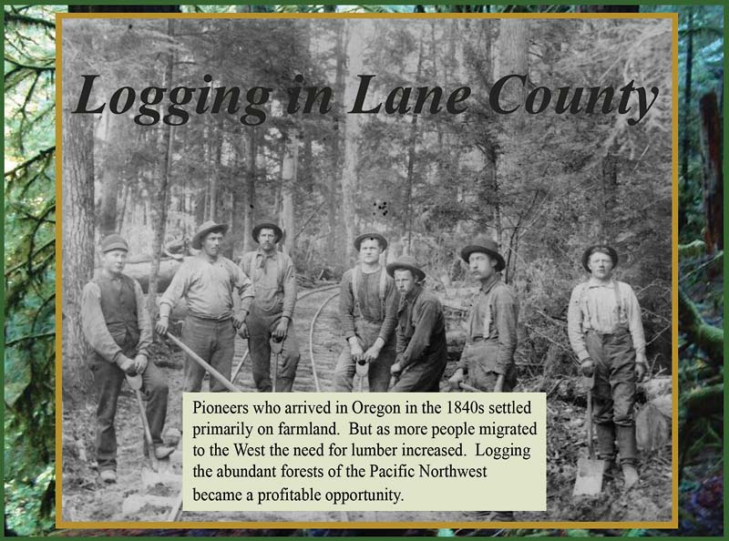 Logging in Lane County Oregon