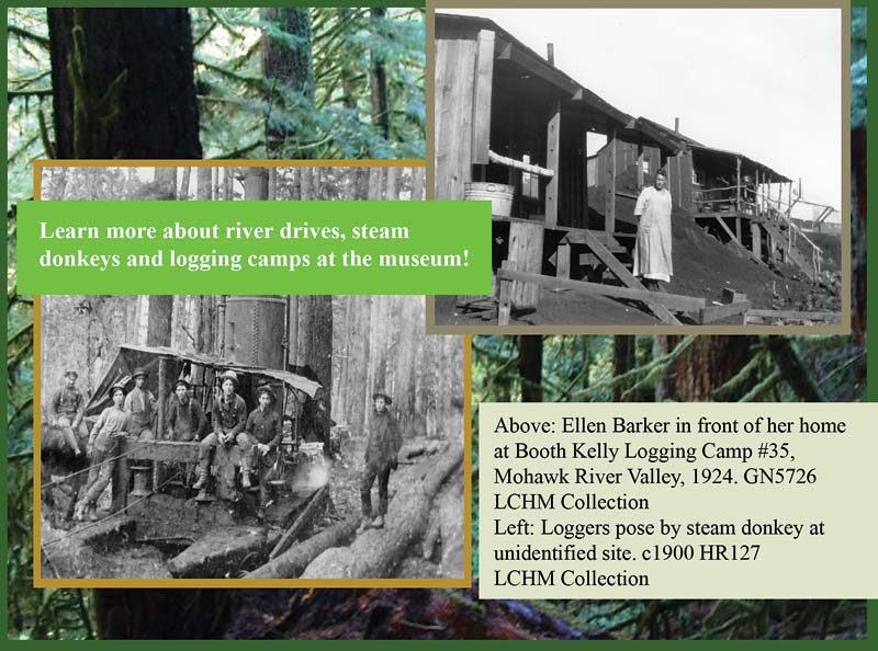 Logging in Lane County Oregon